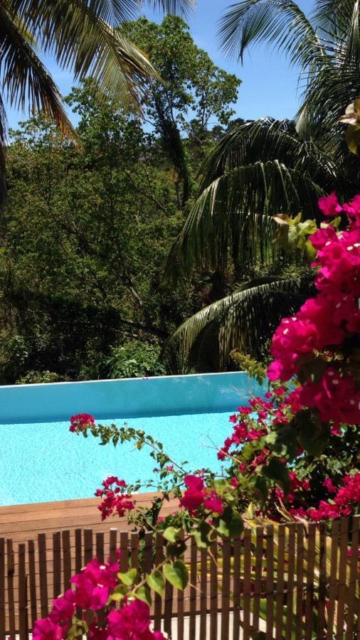 Confortable T1 Le Gosier, Wi-Fi, Piscine Dans Gite Le Gosier (Grande-Terre) Exterior foto